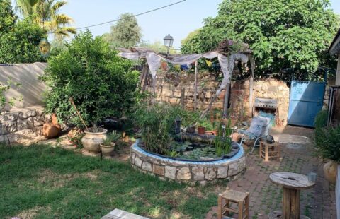 למכירה בראש פינה