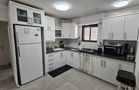 למכירה במליבו דירת גג עם אופציות